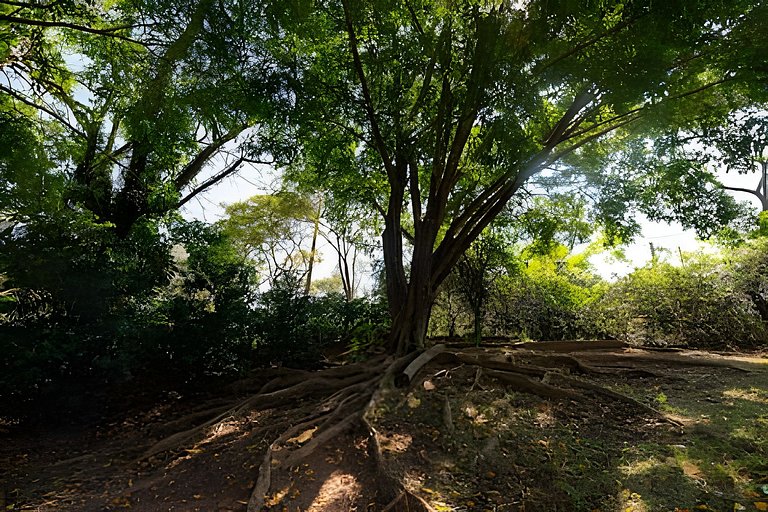 Condomínio Vila Real - Villa de Luxo com Piscina