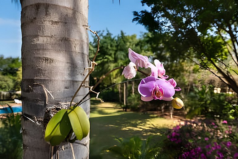Condomínio Vila Real - Villa de Luxo com Piscina