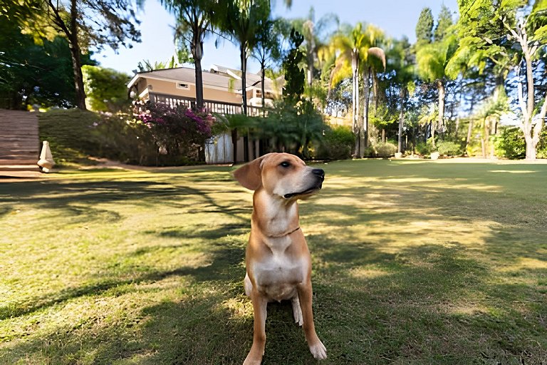 Condomínio Vila Real - Villa de Luxo com Piscina