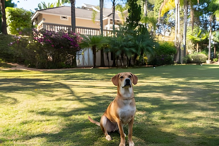 Condomínio Vila Real - Villa de Luxo com Piscina