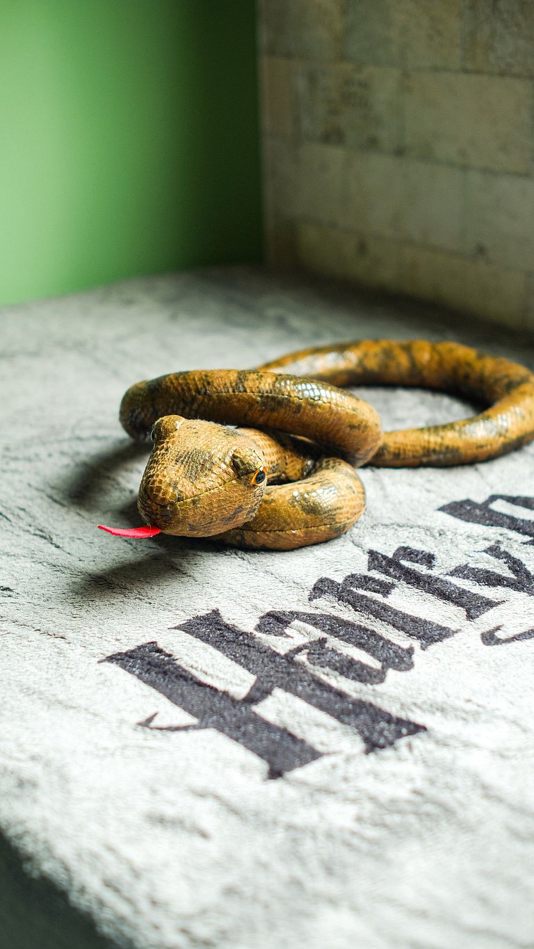 Experiência Imersiva em Hogwarts - HP