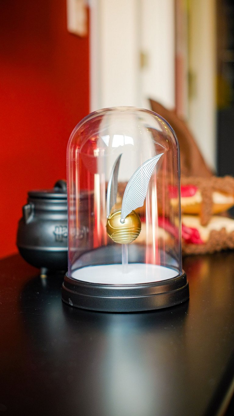 Experiência Imersiva em Hogwarts - HP