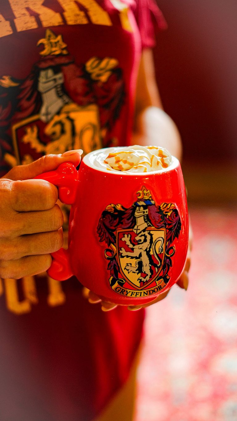 Experiência Imersiva em Hogwarts - HP