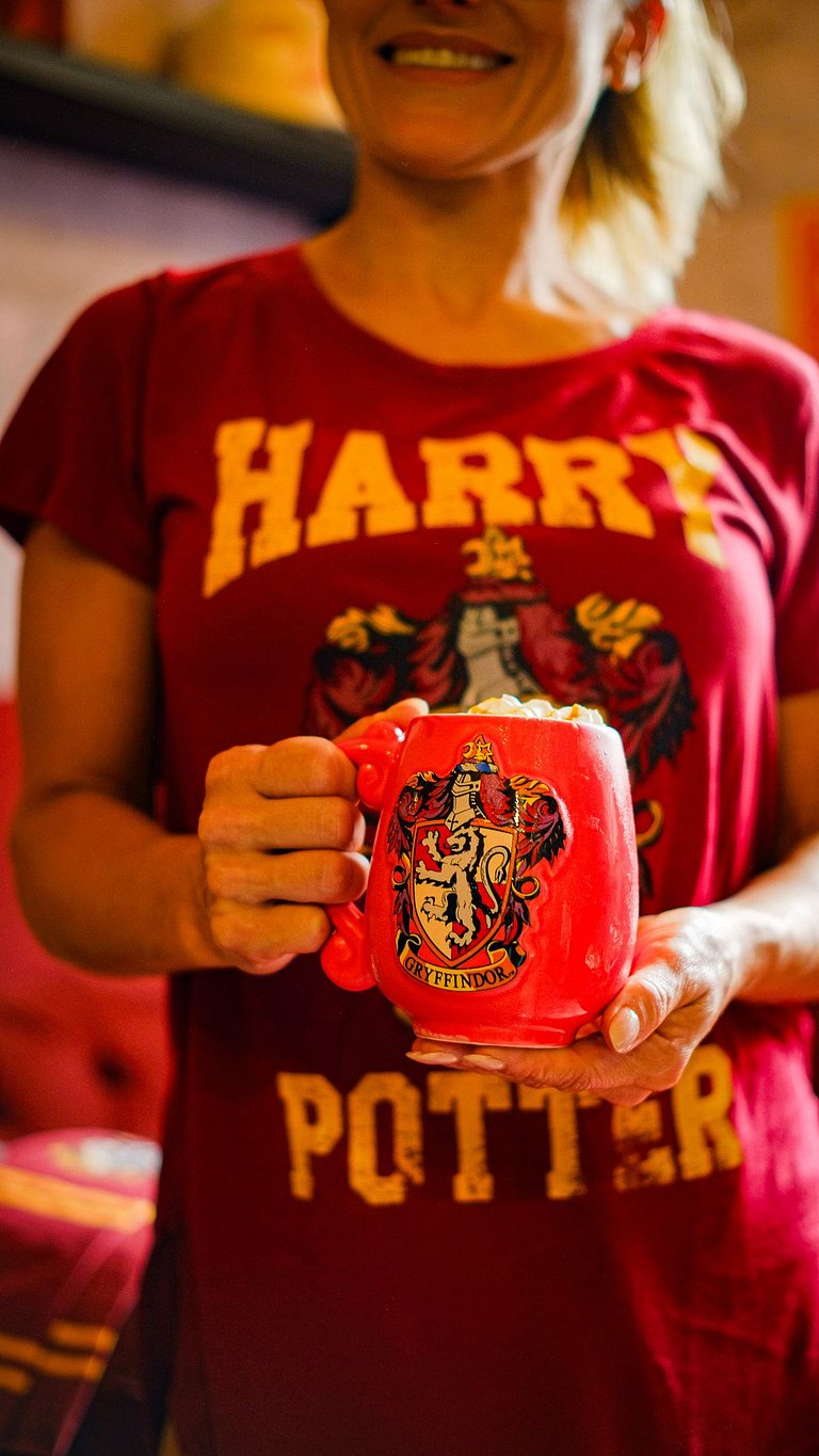 Experiência Imersiva em Hogwarts - HP