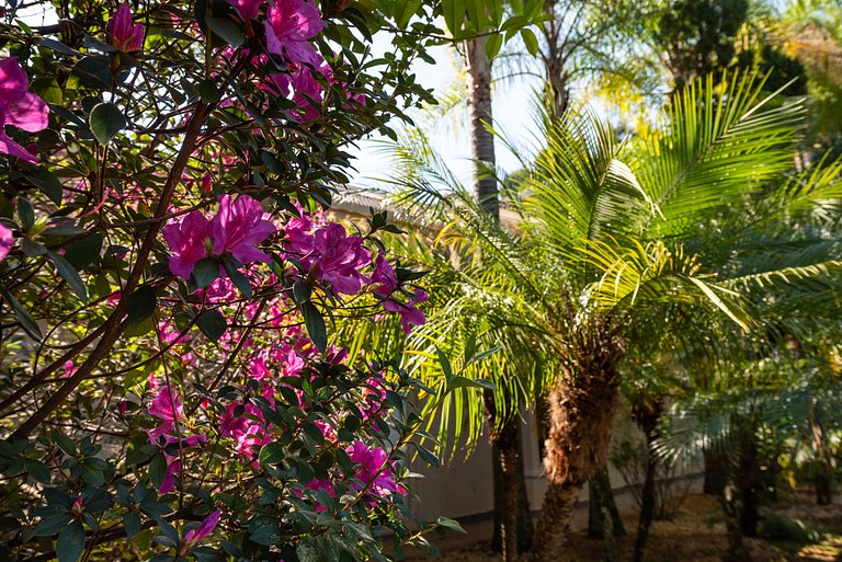 Condomínio Vila Real - Vila de Luxo com Piscina