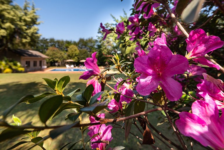 Condomínio Vila Real - Vila de Luxo com Piscina
