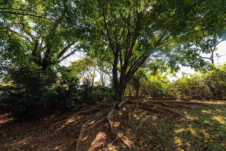 Condomínio Vila Real - Vila de Luxo com Piscina