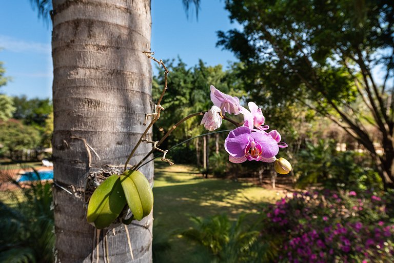 Condomínio Vila Real - Vila de Luxo com Piscina