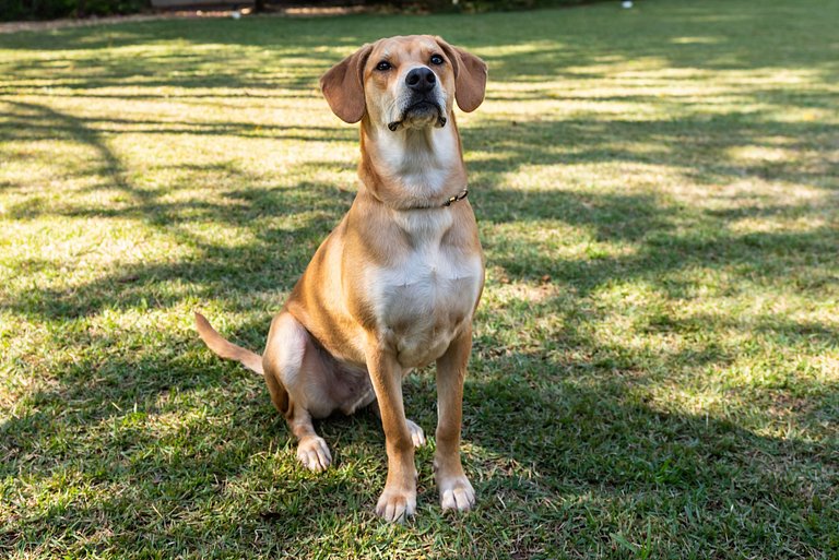 Condomínio Vila Real - Vila de Luxo com Piscina
