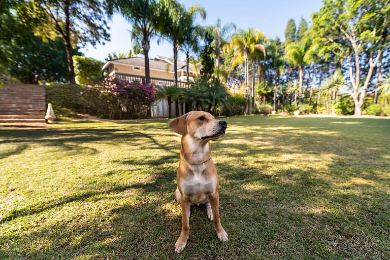 Condomínio Vila Real - Vila de Luxo com Piscina