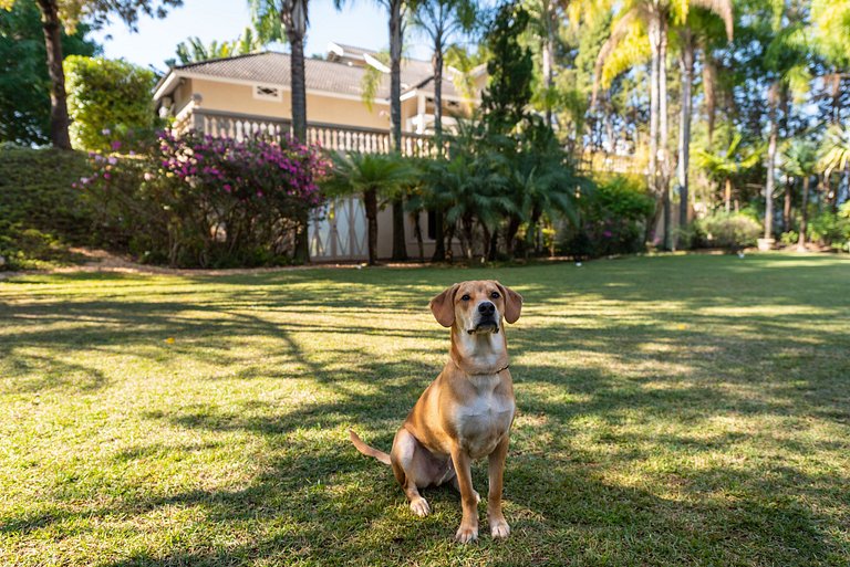 Condomínio Vila Real - Vila de Luxo com Piscina