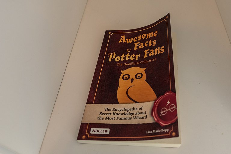 Studio Temático Hogwarts | Harry Potter - HP