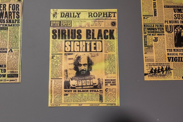 Studio Temático Hogwarts | Harry Potter - HP