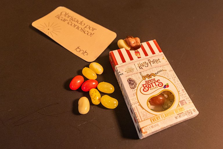 Studio Temático Hogwarts | Harry Potter - HP